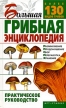 Большая грибная энциклопедия Практическое руководство Издательства: АСТ, Сталкер, 2005 г Твердый переплет, 480 стр ISBN 5-17-030718-7, 966-696-820-7 Тираж: 5100 экз Формат: 84x108/32 (~130х205 мм) инфо 307q.